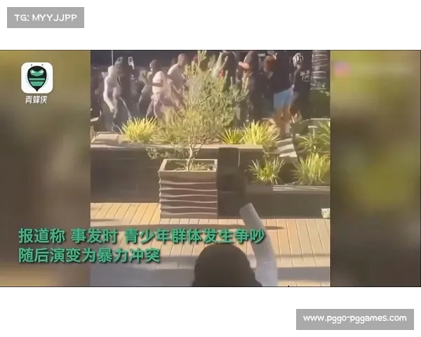 多明尼加联赛爆发大规模斗殴 两队遭禁赛十场并罚款百万比索 多明尼加联赛爆发大规模斗殴 两队遭禁赛十场并罚款百万比索